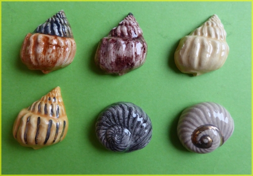 2006- COQUILLAGES VARIANTES A.JPG